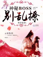 촩Ϯboss